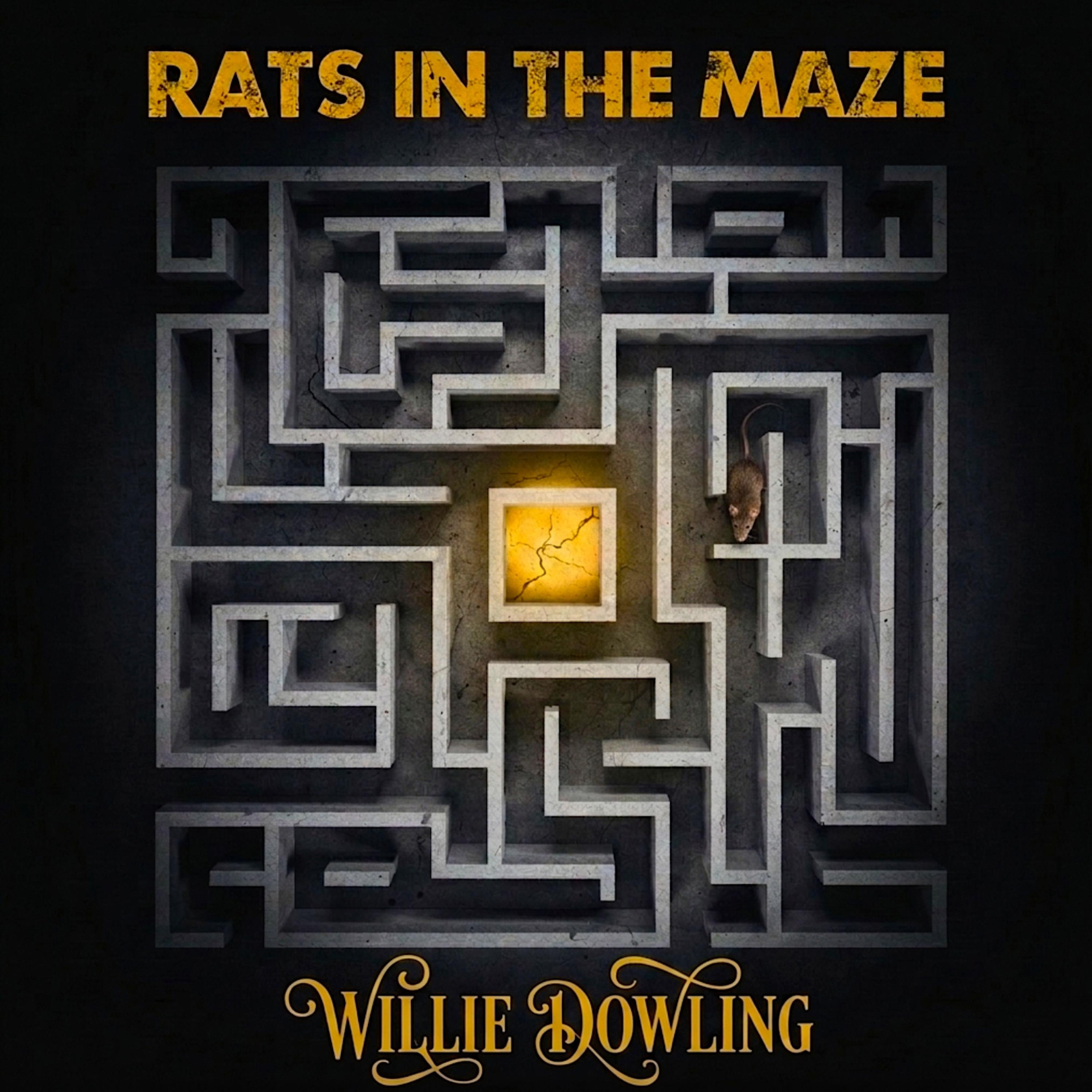 Rats In The Maze - Single