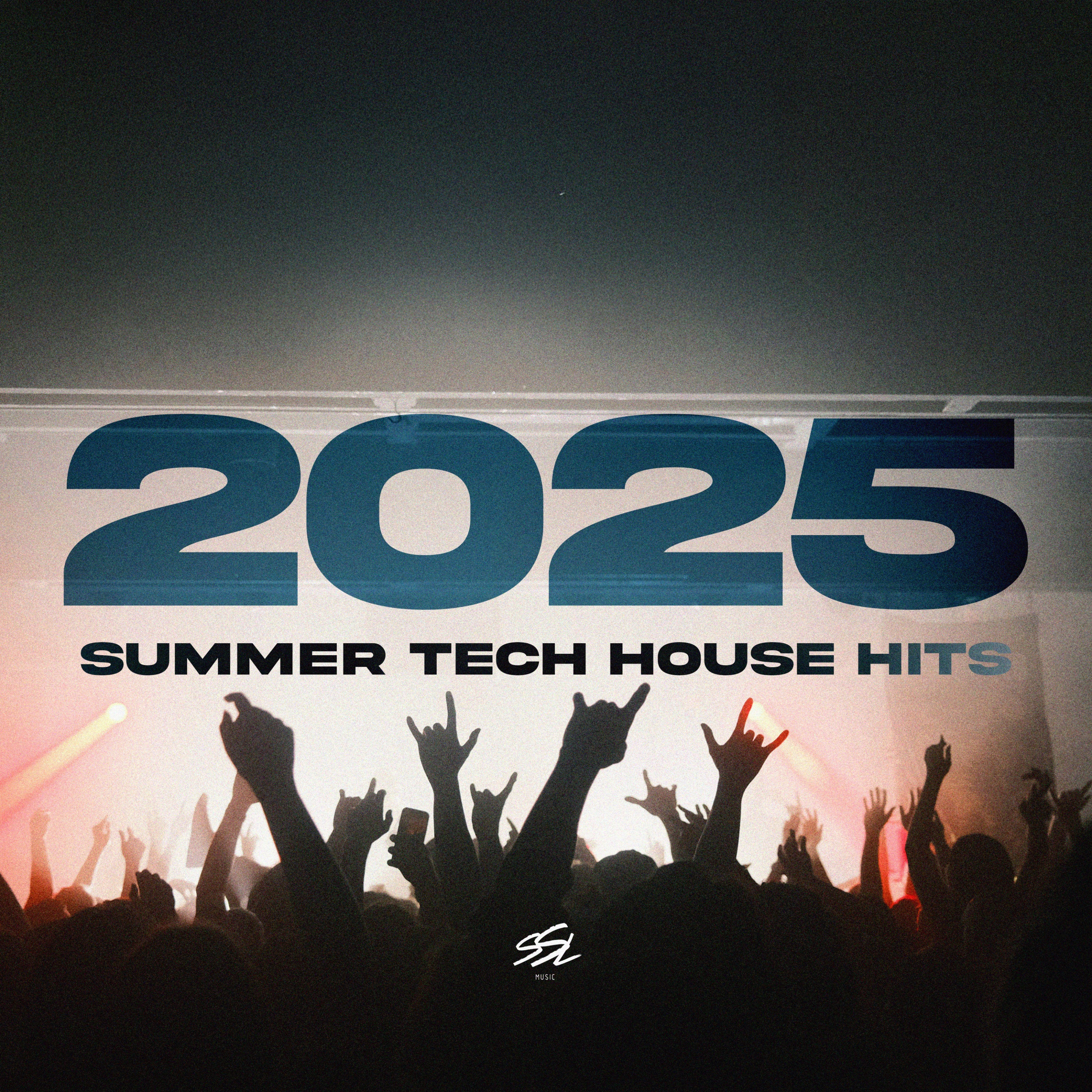 Summer Tech House Hits 2025