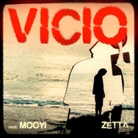 Vicio (feat. Mooyi) - Single - Zetta