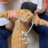 13 A - Single - Sub-T