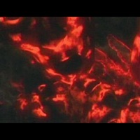 Tmlo - Single - J3TSKR3VM