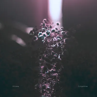 Listen to Calyphira - Single by Shisou