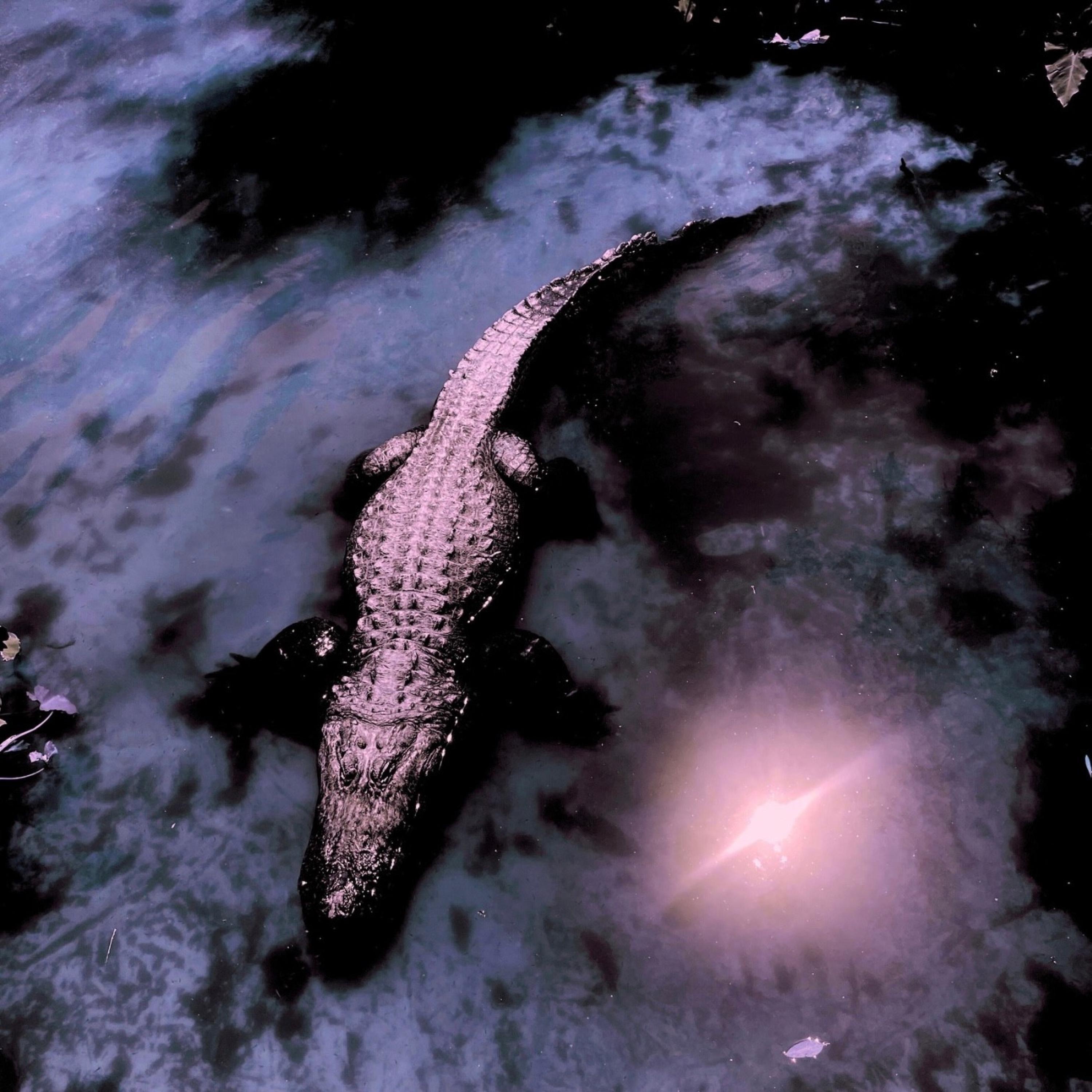 The Great River - EP