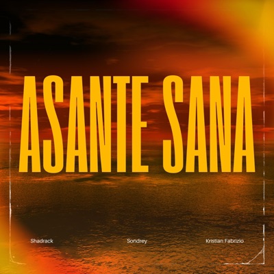 Asante Sana - Single