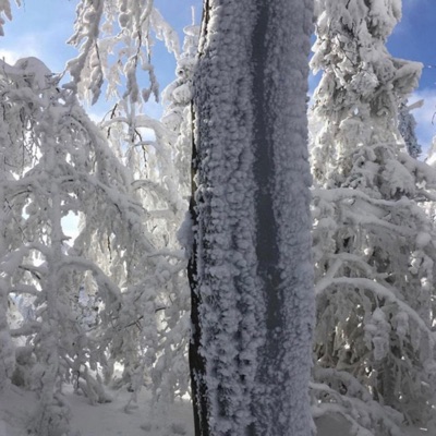 Winter (feat. 1oneam) - Single