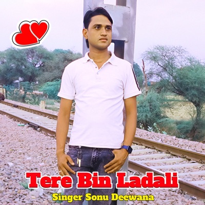 tere bin ladali - Single