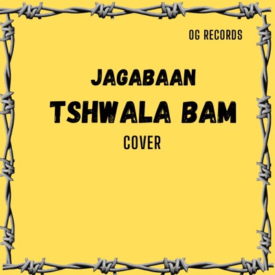Tshwala bam cover (feat. Jagabaan) - Single