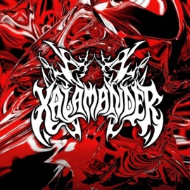 DEADDYNASTY. (feat. BreaKKr) [BreaKKr Remix] XALAMANDER