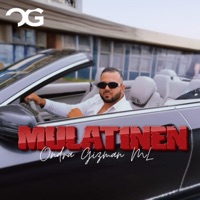 Mulatinen - Single - Ondra Gizman Ml