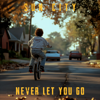 Never Let You Go - Sun City