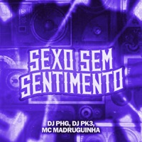 Sexo Sem Sentimento - Single - DJ PHG, DJ PK3 & Mc Madruguinha