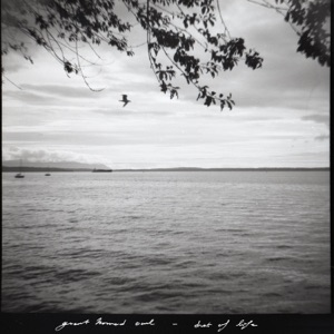 Dust of Life - Single