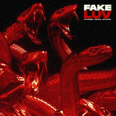 Fake Luv - Single