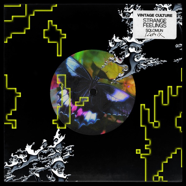 Strange Feelings (Solomun Remix) - Single