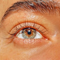 Daydreamer - Single - Stevey