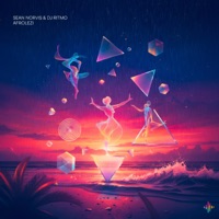 Afrolezi - Single - Sean Norvis & Dj Ritmo