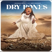 Dry Bones (feat. Kofi Owusu Peprah) artwork