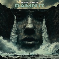 Damn It - Single - Reggie Charles
