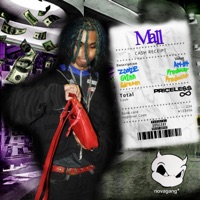 Mall - Single - Zootzie & NOVAGANG