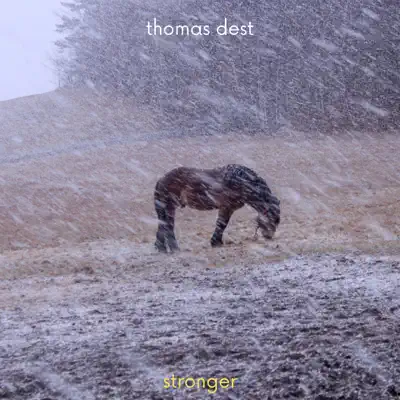 Listen to Stronger by Thomas Dest