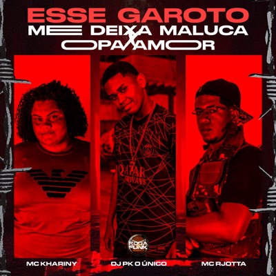 Esse Garoto Me Deixa Maluca X o Paixão o Amor (feat. DJ PK O Único & Mc Rjotta) - Single