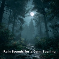 Rain Sounds for a Calm Evening - Yoga Rain