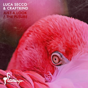 Just a Look / The Future - EP