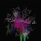 Heptamania (Extended Mix) - KD Oliveira lyrics