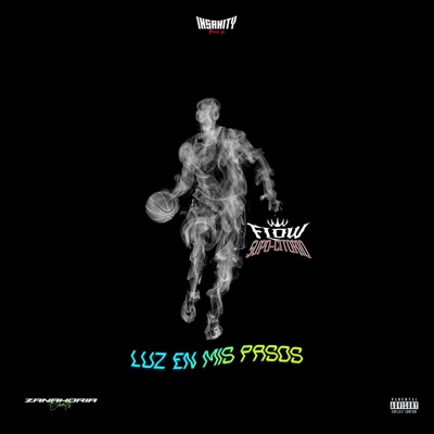 Luz en mis pasos (Flow Supo-citorio Remix) - Single