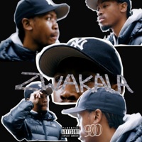 ZWAKALA - Single - AVIWE