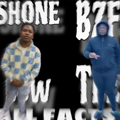 All Facts (feat. Shone Low) - Single