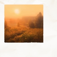 alright - Single - Lxvrich & Crustacean