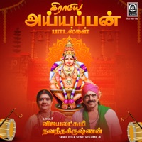 Gramiyaa Ayyappan Paadalgal (Tamil Folk Songs Vol - 8) - Vijayalakshmi Navaneethakrishnan & Navaneethakrishnan