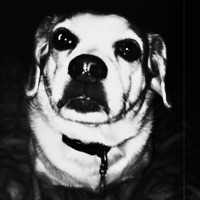 Timeline / Reborn (Remastered) - Single - Jfarrari