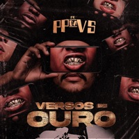 Robin Hood (Uma Nova Historia) - Single - Mc PP da VS, MC Gege & DJ NENE