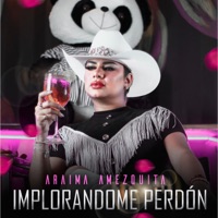Implorándome Perdón