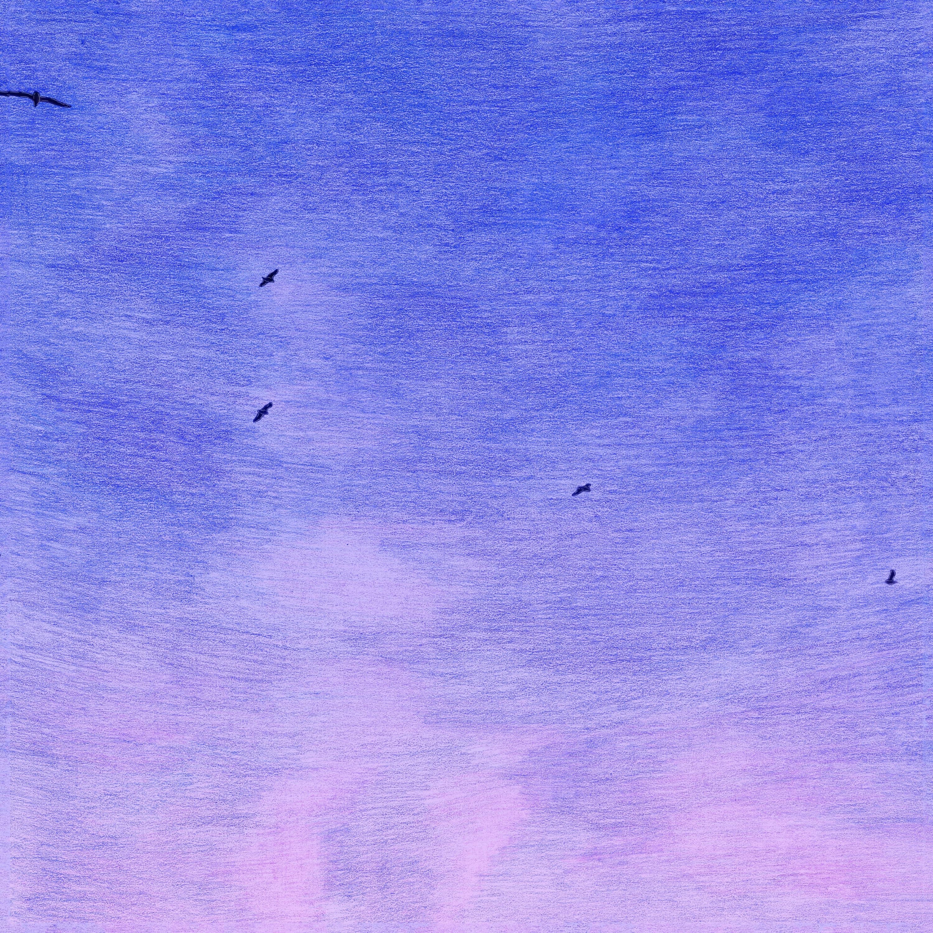 In My Dreams (I'm A Bird And I'm Free)