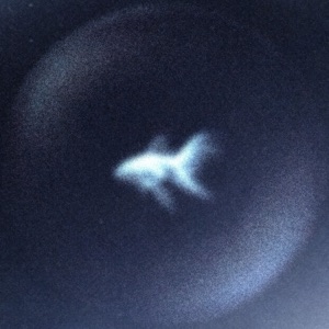 Under The Blue Moon - Single