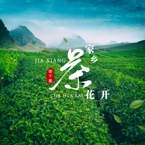 家乡茶花开 - Single