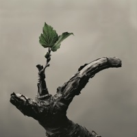 Сессии 2 - EP - PLC