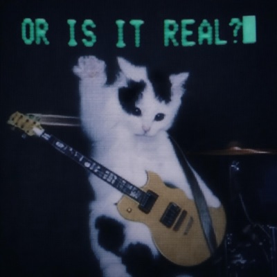 i'm not her fucking sheep (feat. acro) - Single