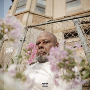 Few Good Things (feat. Black Thought & Eryn Allen Kane)