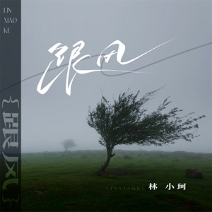 跟风 - Single