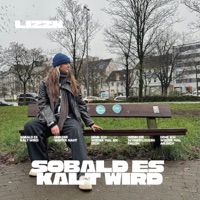 Sobald es kalt wird (feat. Supreme.Frost) - Single - LIZZN