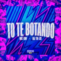 To Te Botando - Single - MC GW, DJ TH ZS & Gangstar Funk