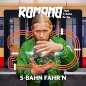 S-Bahn fahr'n artwork