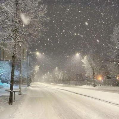 Snow Falls - Single