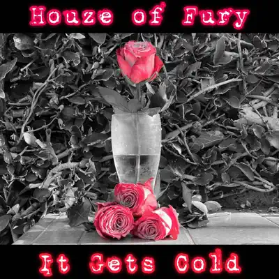 Ascolta 'It Gets Cold - Single' di Houze of Fury