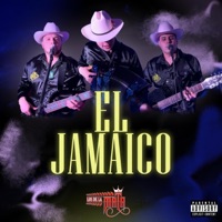 El Jamaico - Single - Los De La Mata