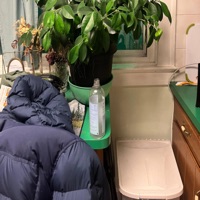 Suicide Note - Single - i